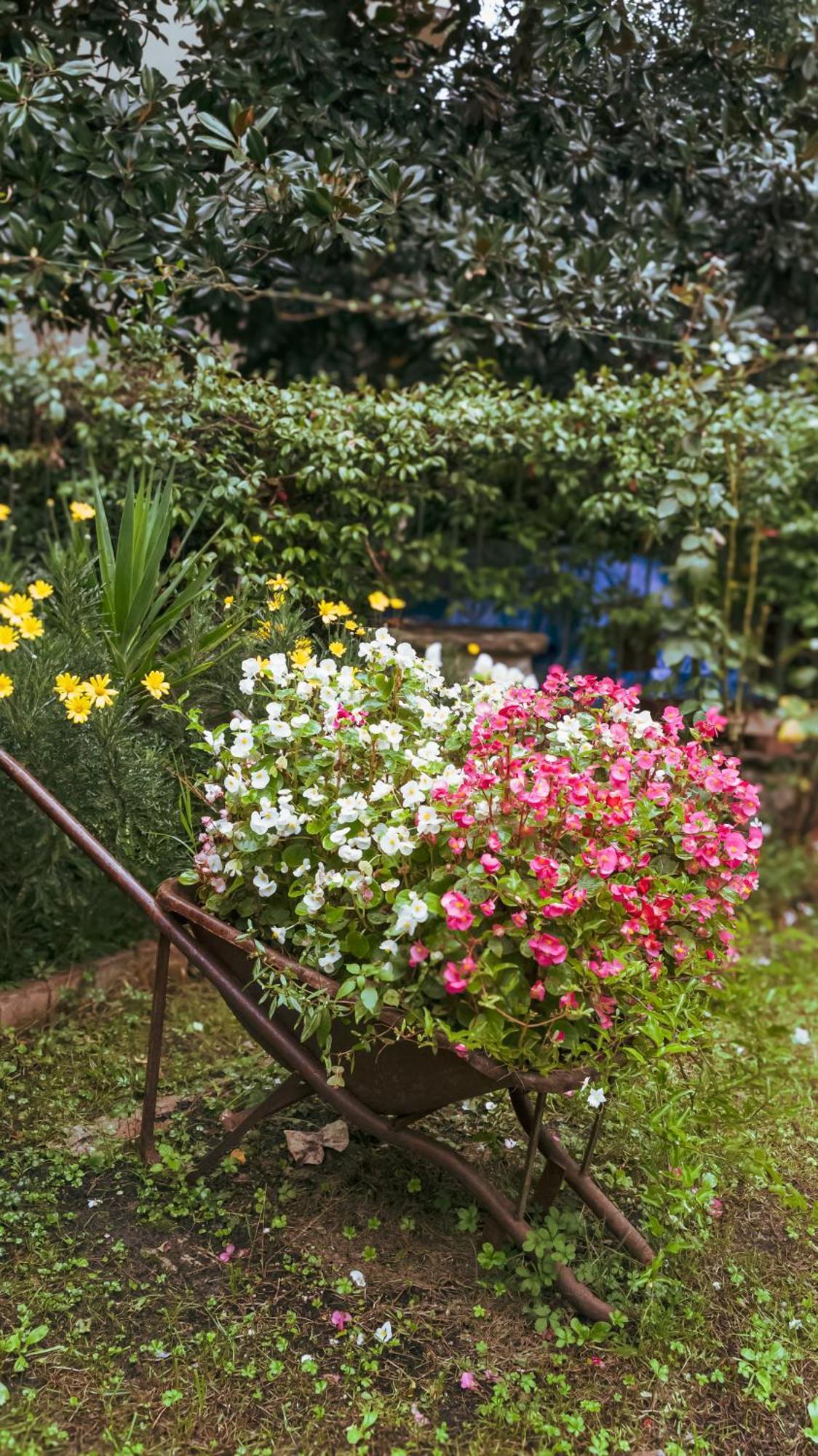 La Serra Sognante, Un Rifugio Incantevole Tra Natura E Relax Firenze Bagian luar foto