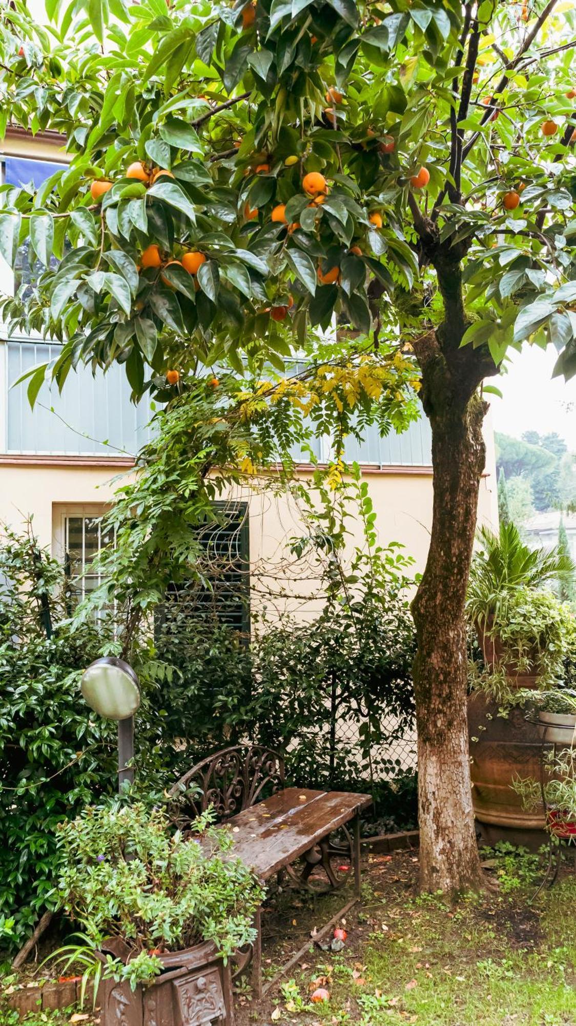 La Serra Sognante, Un Rifugio Incantevole Tra Natura E Relax Firenze Bagian luar foto