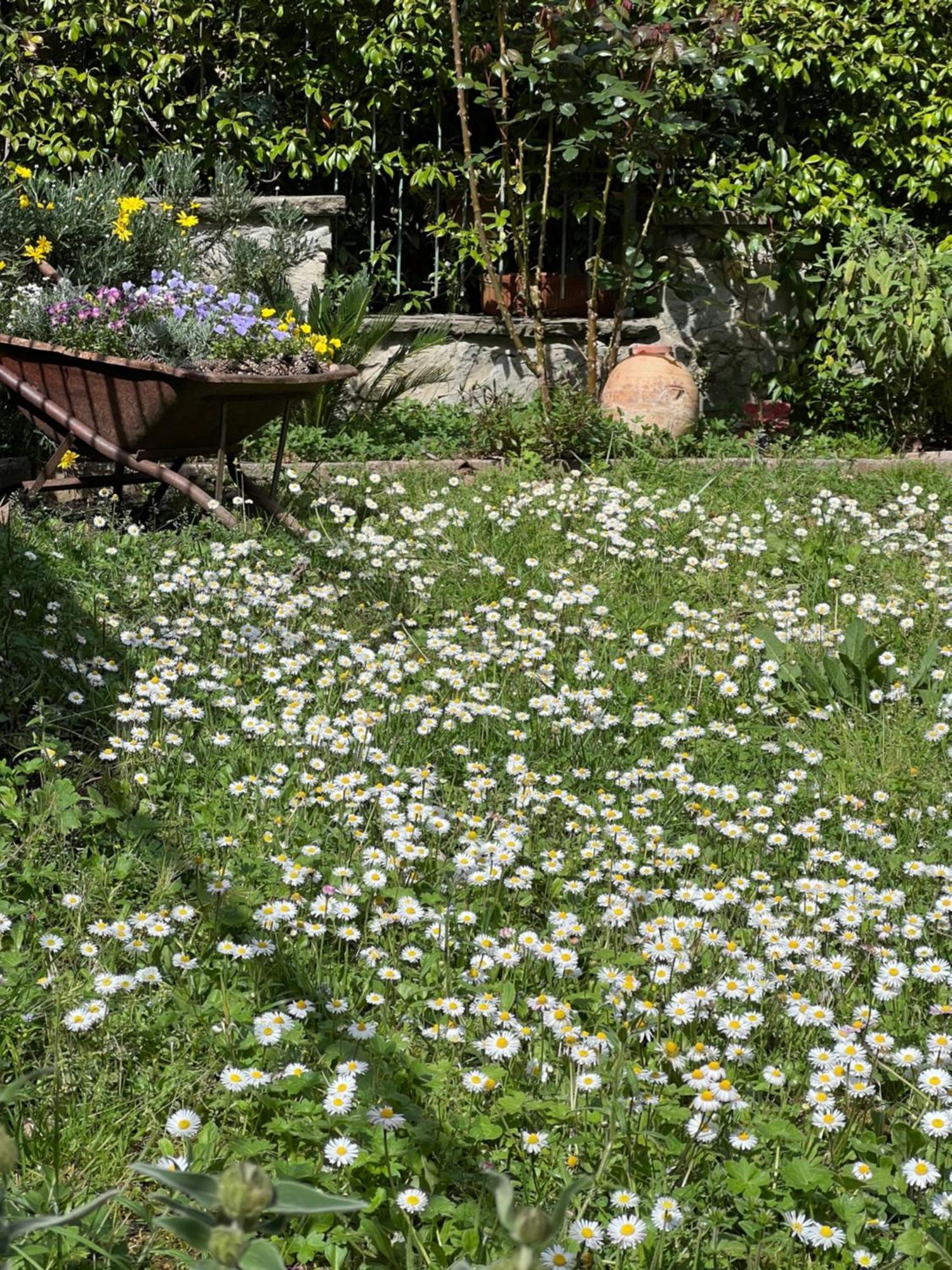 La Serra Sognante, Un Rifugio Incantevole Tra Natura E Relax Firenze Bagian luar foto